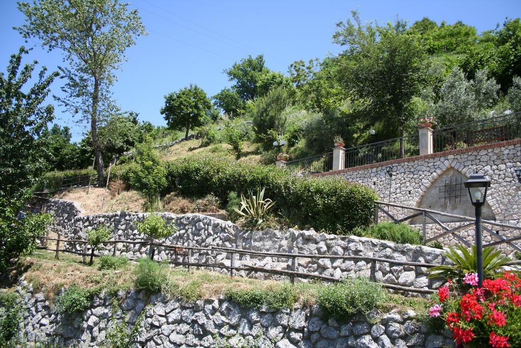 Agriturismo La Grotta Corbara  Экстерьер фото